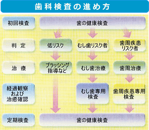歯科検査の進め方